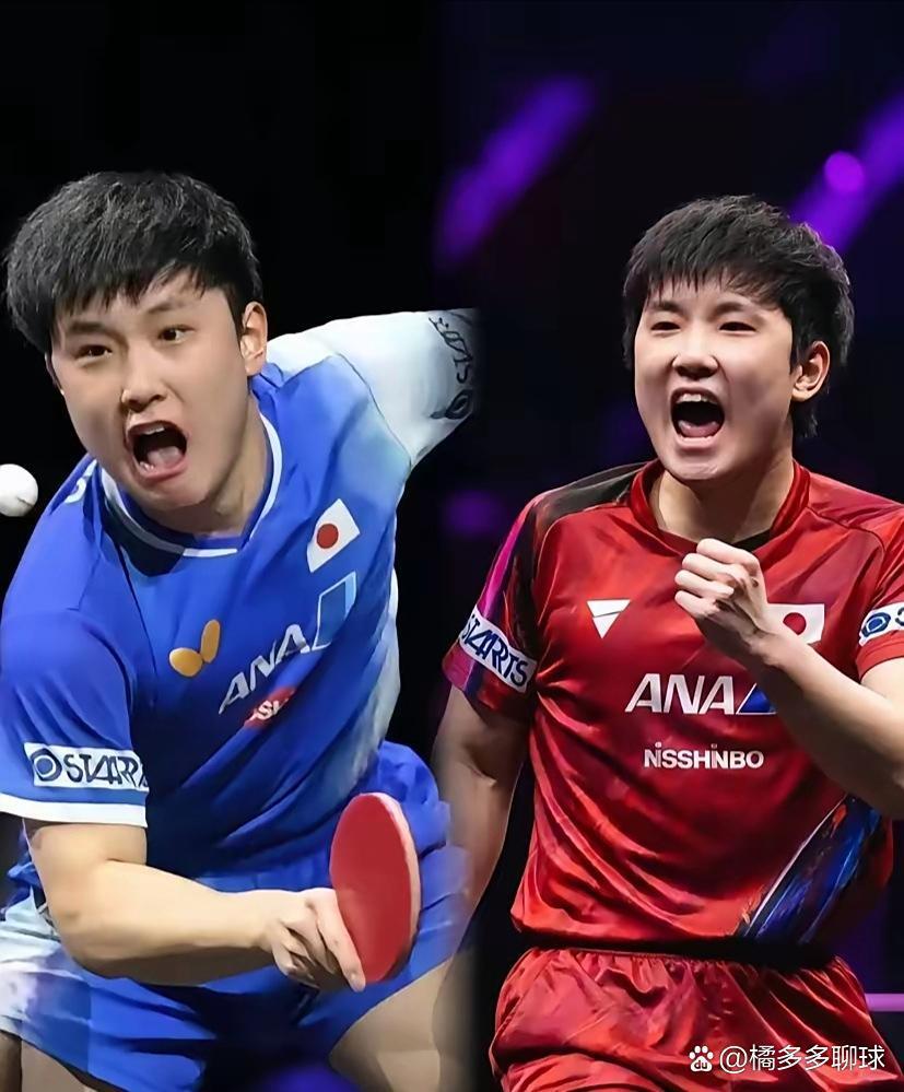 法国乒乓球队力克中国乒乓球队，张本智和关键制胜的简单介绍