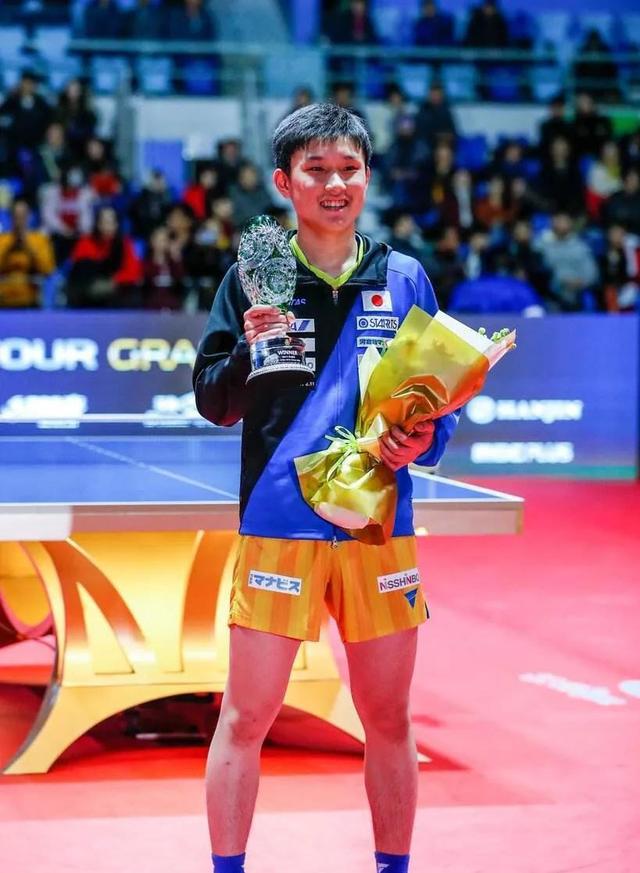 日本乒乓球队横扫波兰乒乓球队，张本智和打破历史纪录的简单介绍