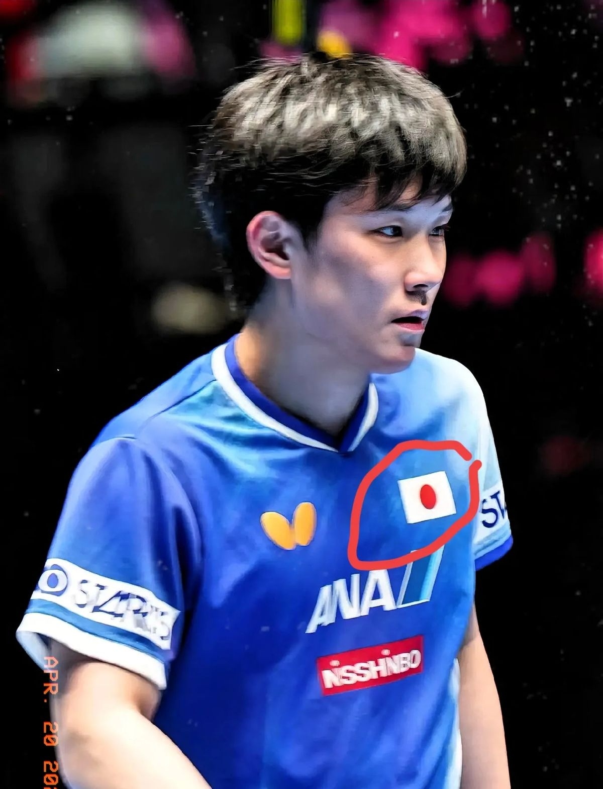 日本乒乓球队横扫波兰乒乓球队，张本智和打破历史纪录的简单介绍