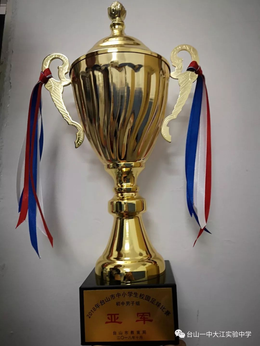 包含业余球队逐梦追踪，驰骋国际赛场圣殿的词条