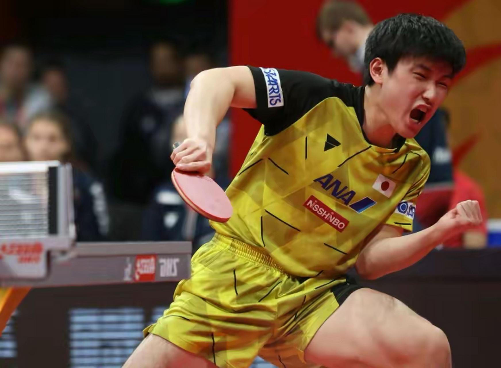 包含英国乒乓球队逆转日本乒乓球队，张本智和高光表现的词条