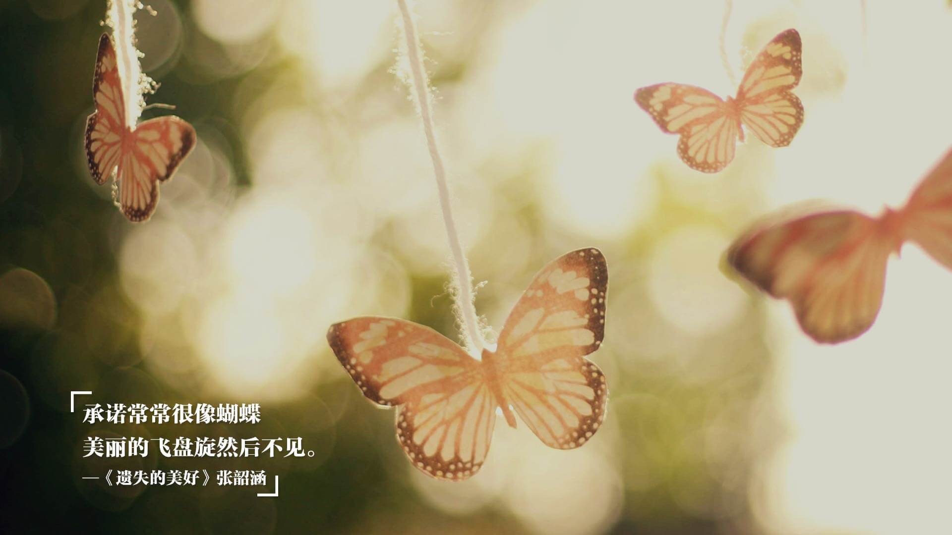 2026世界杯焦点战与森林狼突围掘金，跨越时空的竞技启示